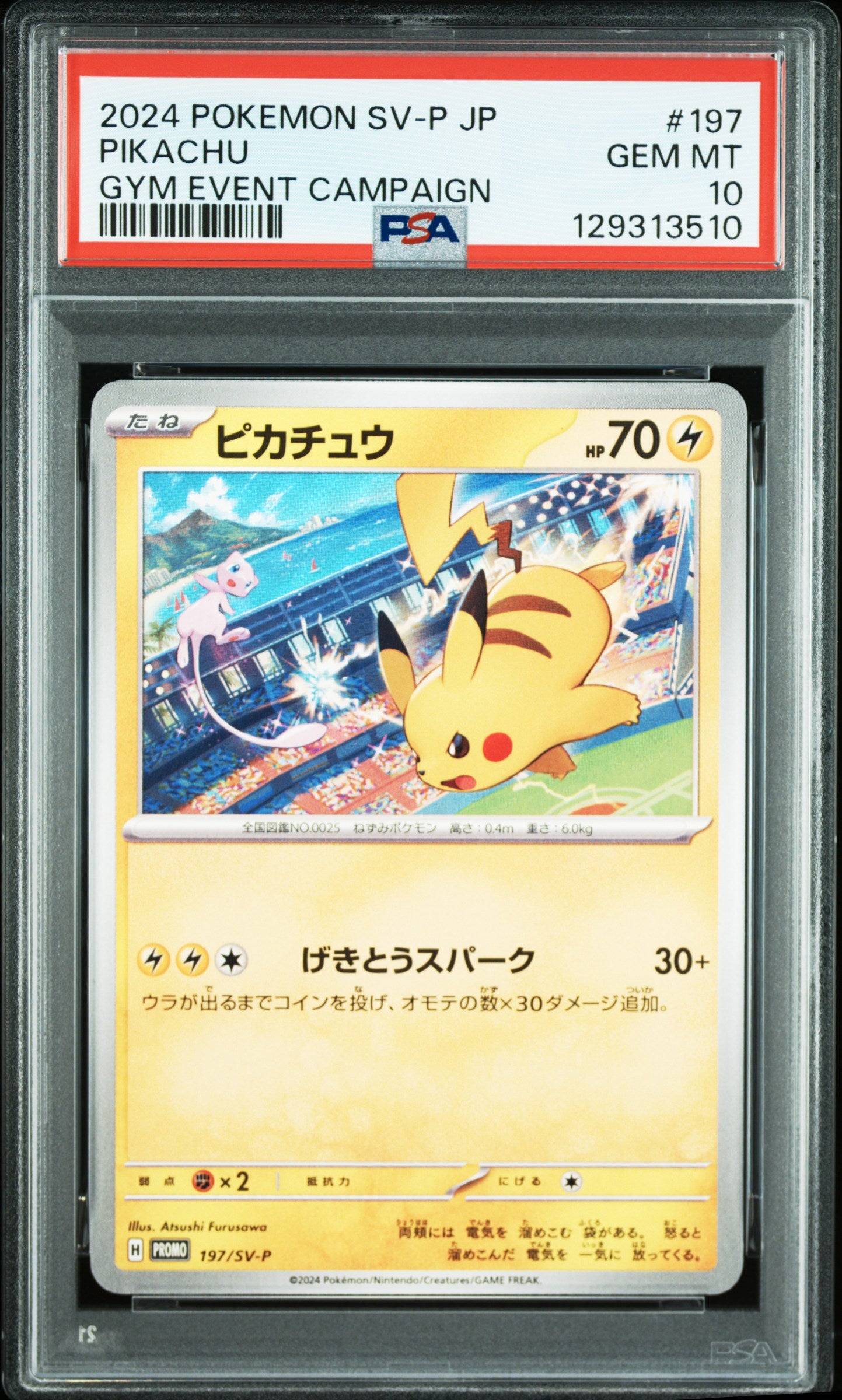 PSA 10 Pikachu Gym Event Campaign Promo #197/SV-P buy now europe