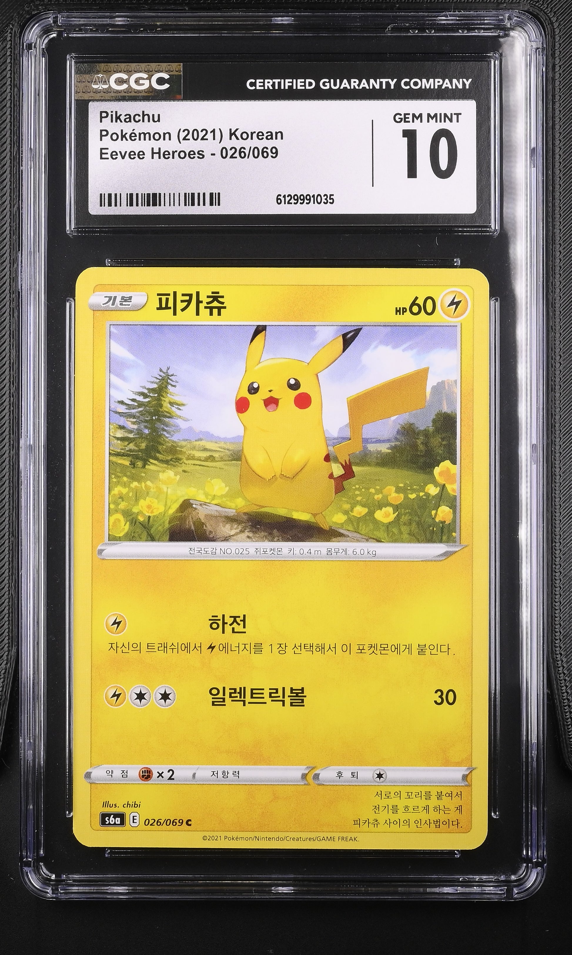CGC Gem Mint 10 graded 2021 Korean Pikachu card 026/069 from Eevee Heroes, featuring a cheerful outdoor meadow scene illustrated by chibi.