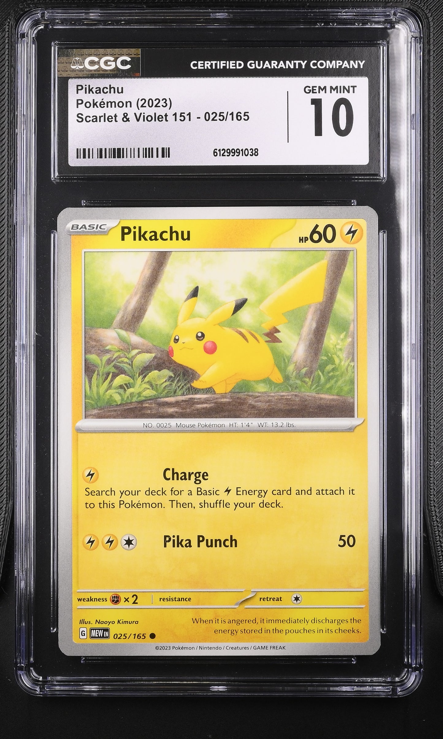 CGC Gem Mint 10 graded 2023 English Pikachu card 025/165 from Scarlet & Violet 151, featuring scenic forest artwork by Naoyo Kimura.